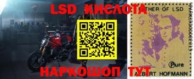 шишки Чебаркуль